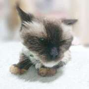 ヒメ日記 2025/09/28 19:08 投稿 辻レイナ クラブ華