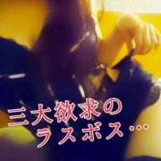 ヒメ日記 2025/09/29 12:01 投稿 辻レイナ クラブ華