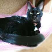 ヒメ日記 2025/09/29 17:00 投稿 辻レイナ クラブ華