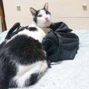 ヒメ日記 2025/10/01 17:00 投稿 辻レイナ クラブ華