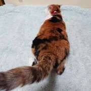 ヒメ日記 2025/10/02 17:00 投稿 辻レイナ クラブ華