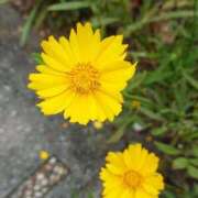 ヒメ日記 2025/10/02 18:00 投稿 辻レイナ クラブ華