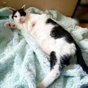 ヒメ日記 2025/10/07 17:00 投稿 辻レイナ クラブ華