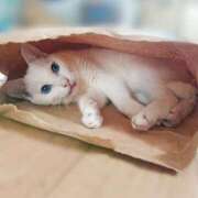 ヒメ日記 2025/10/08 17:00 投稿 辻レイナ クラブ華