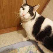 ヒメ日記 2025/10/10 17:00 投稿 辻レイナ クラブ華