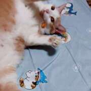 ヒメ日記 2025/10/12 17:00 投稿 辻レイナ クラブ華