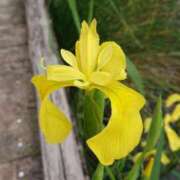 ヒメ日記 2025/10/12 18:00 投稿 辻レイナ クラブ華