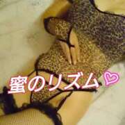 ヒメ日記 2025/10/14 12:01 投稿 辻レイナ クラブ華