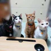 ヒメ日記 2025/10/14 17:00 投稿 辻レイナ クラブ華