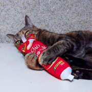 ヒメ日記 2025/10/15 17:00 投稿 辻レイナ クラブ華