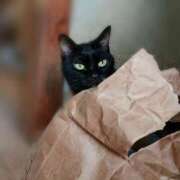 ヒメ日記 2025/10/18 16:30 投稿 辻レイナ クラブ華