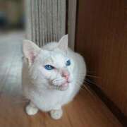 ヒメ日記 2025/10/19 17:00 投稿 辻レイナ クラブ華