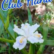 ヒメ日記 2025/10/20 18:00 投稿 辻レイナ クラブ華