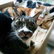 ヒメ日記 2025/10/21 17:00 投稿 辻レイナ クラブ華