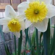 ヒメ日記 2025/10/22 18:00 投稿 辻レイナ クラブ華