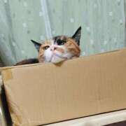 ヒメ日記 2025/10/23 17:00 投稿 辻レイナ クラブ華