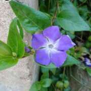 ヒメ日記 2025/10/24 18:00 投稿 辻レイナ クラブ華