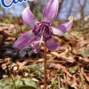 ヒメ日記 2025/10/29 18:00 投稿 辻レイナ クラブ華