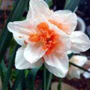 ヒメ日記 2025/11/01 18:00 投稿 辻レイナ クラブ華