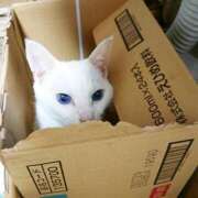 ヒメ日記 2025/11/03 17:00 投稿 辻レイナ クラブ華