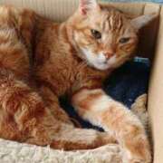 ヒメ日記 2025/11/04 17:00 投稿 辻レイナ クラブ華