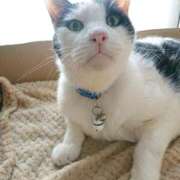 ヒメ日記 2025/11/05 17:00 投稿 辻レイナ クラブ華