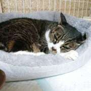 ヒメ日記 2025/11/08 17:00 投稿 辻レイナ クラブ華