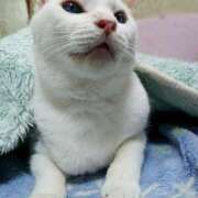 ヒメ日記 2025/11/09 17:00 投稿 辻レイナ クラブ華