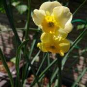 ヒメ日記 2025/11/11 18:00 投稿 辻レイナ クラブ華