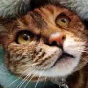 ヒメ日記 2025/11/13 17:00 投稿 辻レイナ クラブ華