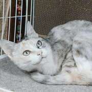 ヒメ日記 2025/11/14 17:00 投稿 辻レイナ クラブ華