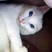 ヒメ日記 2025/11/15 17:00 投稿 辻レイナ クラブ華