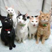 ヒメ日記 2025/11/16 17:00 投稿 辻レイナ クラブ華