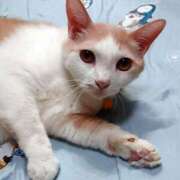 ヒメ日記 2025/11/17 17:00 投稿 辻レイナ クラブ華