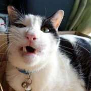 ヒメ日記 2025/11/18 17:00 投稿 辻レイナ クラブ華