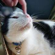 ヒメ日記 2025/11/24 17:00 投稿 辻レイナ クラブ華