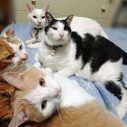 ヒメ日記 2025/11/25 17:00 投稿 辻レイナ クラブ華