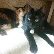 ヒメ日記 2025/11/27 17:00 投稿 辻レイナ クラブ華