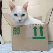 ヒメ日記 2025/11/28 17:00 投稿 辻レイナ クラブ華