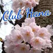 ヒメ日記 2025/11/28 18:00 投稿 辻レイナ クラブ華