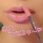 ヒメ日記 2025/12/01 12:01 投稿 辻レイナ クラブ華