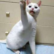 ヒメ日記 2025/12/01 17:00 投稿 辻レイナ クラブ華