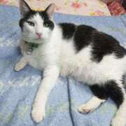 ヒメ日記 2025/12/02 17:00 投稿 辻レイナ クラブ華