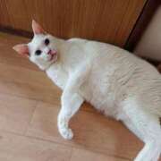 ヒメ日記 2025/12/03 17:00 投稿 辻レイナ クラブ華