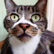 ヒメ日記 2025/12/04 17:00 投稿 辻レイナ クラブ華