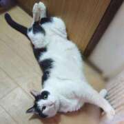 ヒメ日記 2025/12/05 17:00 投稿 辻レイナ クラブ華