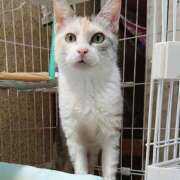 ヒメ日記 2025/12/06 17:00 投稿 辻レイナ クラブ華