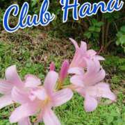 ヒメ日記 2025/12/08 18:00 投稿 辻レイナ クラブ華