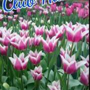 ヒメ日記 2025/12/10 18:00 投稿 辻レイナ クラブ華