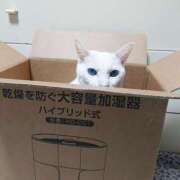 ヒメ日記 2025/12/11 17:00 投稿 辻レイナ クラブ華